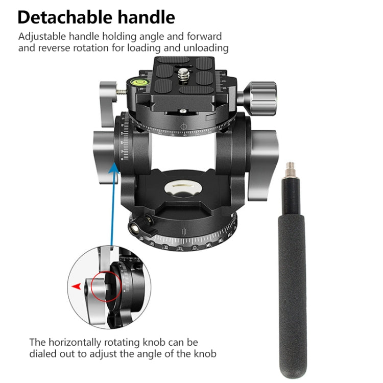 BEXIN DT-02S/S 2D 360 Degree Panorama Heavy Duty Tripod Action Fluid Drag Head with Quick Release Plate