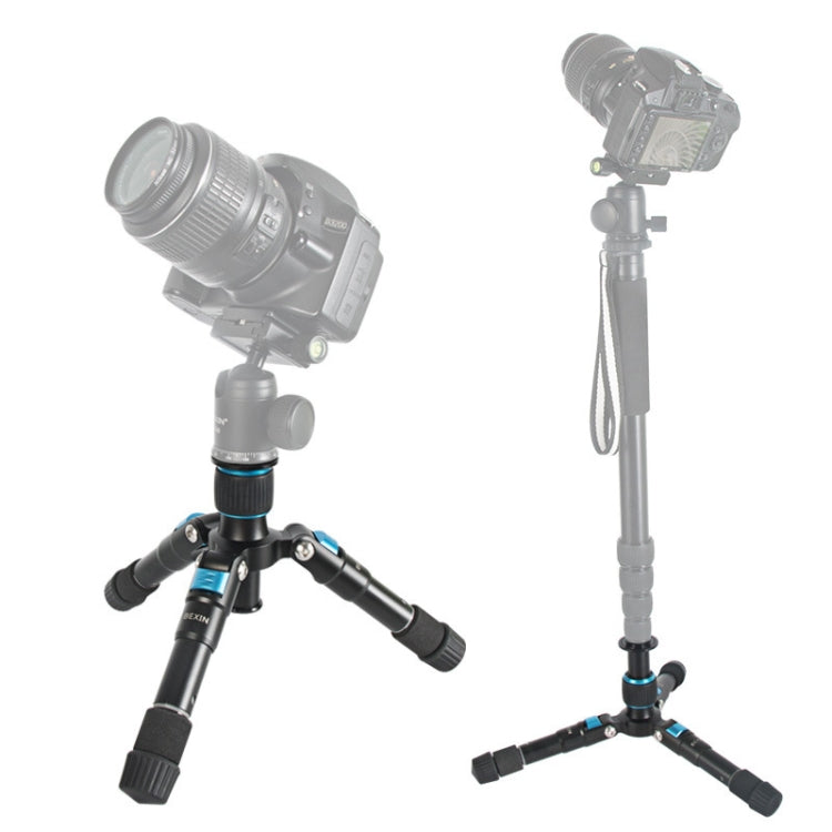 حامل ثلاثي صغير لكاميرا السفر BEXIN MS08 مع رأس كروي للهواتف الذكية وكاميرات DSLR