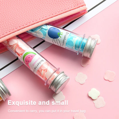 10pcs Disposable Portable Travel Tube Shape Boxed Confetti Soap Mini Soap Plate, Animal Series, Succulent Series, Fruit Series, Words Series, Constellation Series, Pig Baby Series
