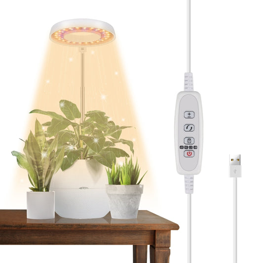 مصباح تعبئة لنمو النباتات العصارية بقوة 10 وات، 48 مصباح LED، حلقة ملاك، نحلة، أنبوب دائري