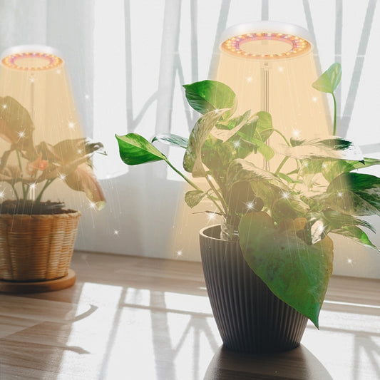 مصباح تعبئة لنمو النباتات العصارية بقوة 10 وات، 48 مصباح LED، حلقة ملاك، نحلة، أنبوب دائري