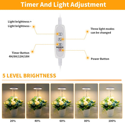 مصباح تعبئة لنمو النباتات العصارية بقوة 10 وات، 48 مصباح LED، حلقة ملاك، نحلة، أنبوب دائري