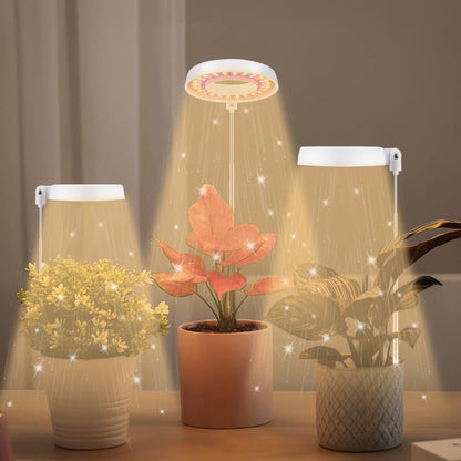 مصباح تعبئة لنمو النباتات العصارية بقوة 10 وات، 48 مصباح LED، حلقة ملاك، نحلة، أنبوب دائري