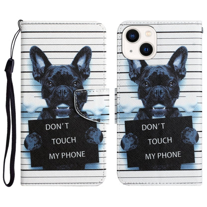 Colored Drawing Leather Phone Case, For iPhone 14 Pro Max, For iPhone 13, For iPhone 13 mini
