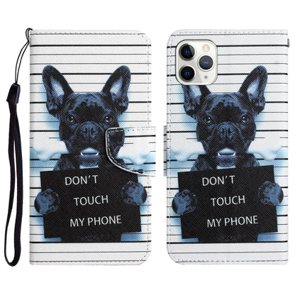 Colored Drawing Leather Phone Case, For iPhone 11 Pro, For iPhone 11 Pro Max, For iPhone XS Max
