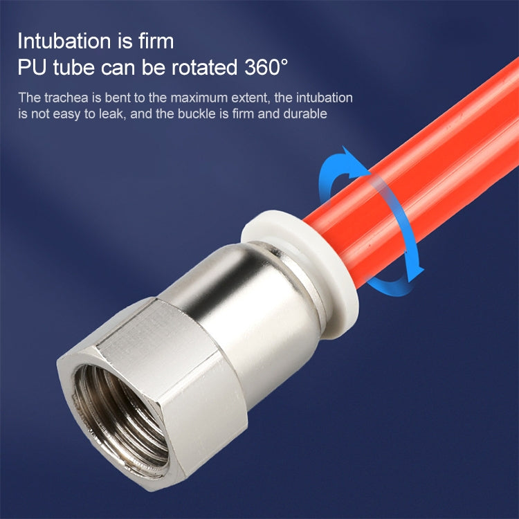 PCF6-02 LAIZE 2pcs Female Thread Straight Pneumatic Quick Fitting Connector, PCF4-01 (10pcs), PCF4-02 (10pcs), PCF6-01 (10pcs), PCF6-02 (2pcs), PCF6-03 (2pcs), PCF6-04 (1pc), PCF8-01 (2pcs), PCF8-02 (2pcs), PCF8-03 (1pc), PCF8-04 (1pc), PCF10-01 (1pc)�...