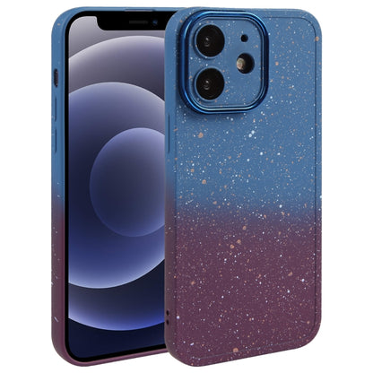 Gradient Starry Silicone Phone Case with Lens Film, For iPhone 13 Pro Max, For iPhone 13 Pro, For iPhone 13, For iPhone 12, For iPhone 12 Pro Max, For iPhone 12 Pro, For iPhone 11 Pro Max, For iPhone 11