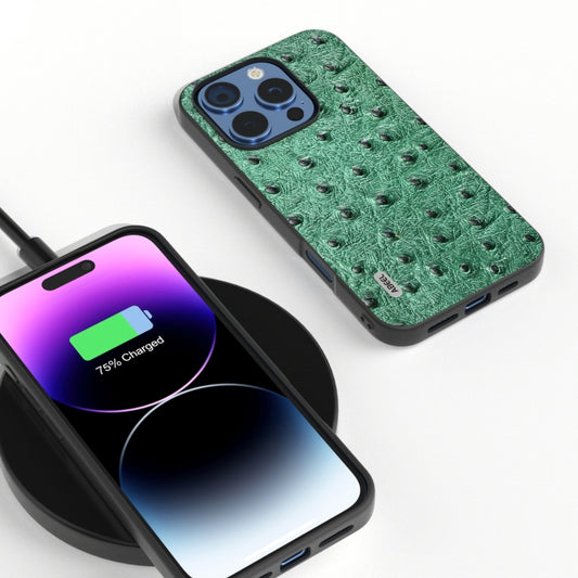 ABEEL Genuine Leather Ostrich Texture Phone Case, For iPhone 16 Pro Max, For iPhone 16 Pro, For iPhone 16 Plus, For iPhone 16, For iPhone 15 Pro Max, For iPhone 15 Pro, For iPhone 15 Plus, For iPhone 15, For iPhone 14 Plus, For iPhone 14���������������...
