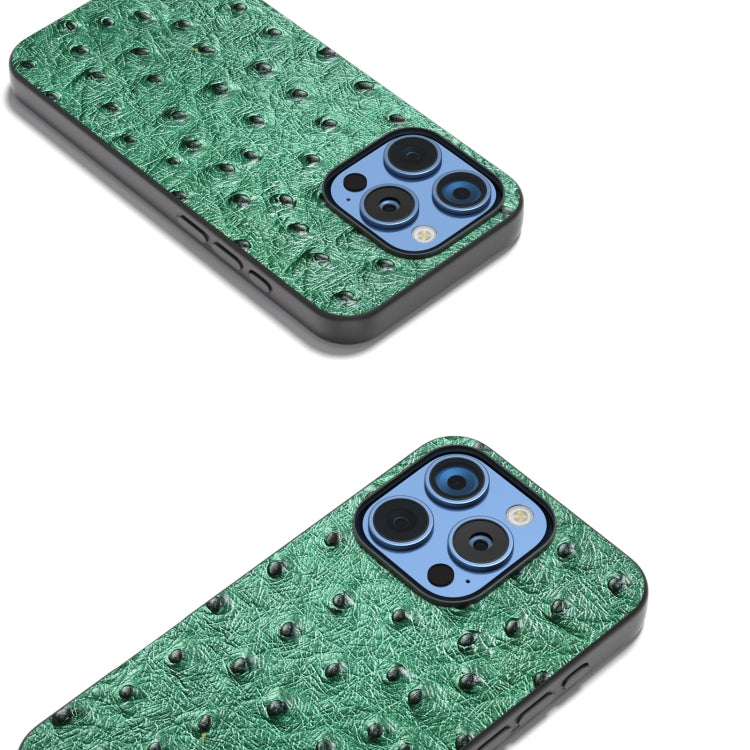 ABEEL Genuine Leather Ostrich Texture Phone Case, For iPhone 16 Pro Max, For iPhone 16 Pro, For iPhone 16 Plus, For iPhone 16, For iPhone 15 Pro Max, For iPhone 15 Pro, For iPhone 15 Plus, For iPhone 15, For iPhone 14 Plus, For iPhone 14���������������...