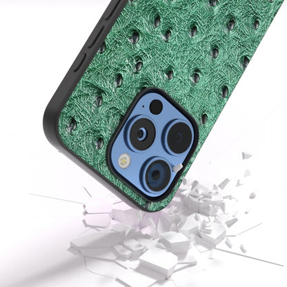 ABEEL Genuine Leather Ostrich Texture Phone Case, For iPhone 16 Pro Max, For iPhone 16 Pro, For iPhone 16 Plus, For iPhone 16, For iPhone 15 Pro Max, For iPhone 15 Pro, For iPhone 15 Plus, For iPhone 15, For iPhone 14 Plus, For iPhone 14���������������...
