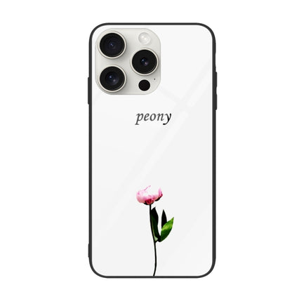 Colorful Painted Glass Phone Case, For iPhone 16 Pro Max, For iPhone 16 Pro, For iPhone 16 Plus