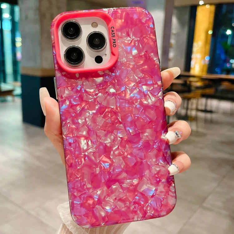 IMD Shell Texture TPU + Acrylic Phone Case, For iPhone 13 Pro, For iPhone 13, For iPhone 12, For iPhone 12 Pro Max, For iPhone 12 Pro, For iPhone 11 Pro Max, For iPhone 11, For iPhone 11 Pro, For iPhone X / XS
