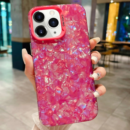 IMD Shell Texture TPU + Acrylic Phone Case, For iPhone 13 Pro, For iPhone 13, For iPhone 12, For iPhone 12 Pro Max, For iPhone 12 Pro, For iPhone 11 Pro Max, For iPhone 11, For iPhone 11 Pro, For iPhone X / XS
