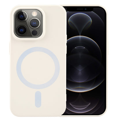 MagSafe Liquid Silicone Phone Case, For iPhone 13, For iPhone 12, For iPhone 12 Pro Max, For iPhone 12 Pro, For iPhone 11 Pro Max, For iPhone 11, For iPhone 11 Pro