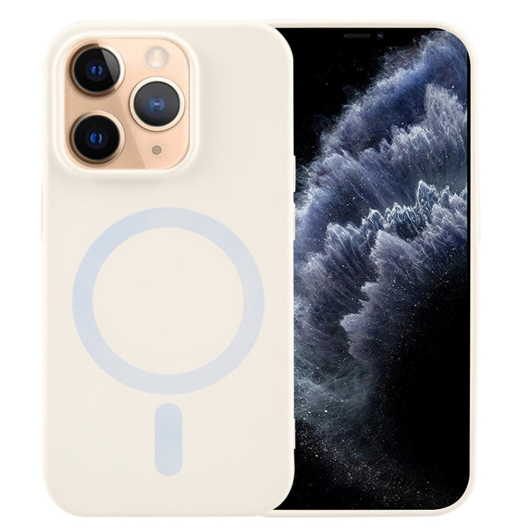 MagSafe Liquid Silicone Phone Case, For iPhone 13, For iPhone 12, For iPhone 12 Pro Max, For iPhone 12 Pro, For iPhone 11 Pro Max, For iPhone 11, For iPhone 11 Pro