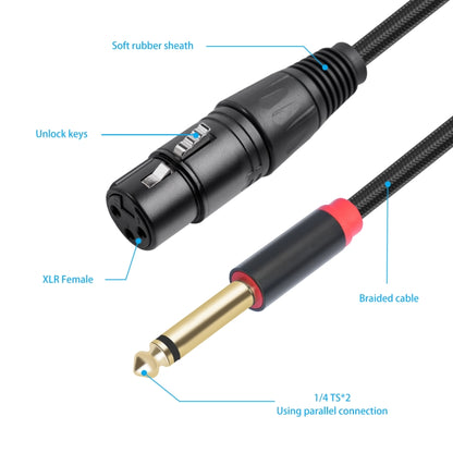 2020Y63 XLR Female to Dual 6.35mm 1/4 TRS Male Y-type Audio Cable