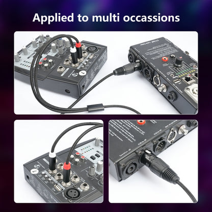 2020Y63 XLR Female to Dual 6.35mm 1/4 TRS Male Y-type Audio Cable