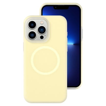 جراب هاتف مغناطيسي من السيليكون السائل الهلامي، مناسب لهاتف iPhone 13 Pro Max، وiPhone 13 Pro، وiPhone 13، وiPhone 12
