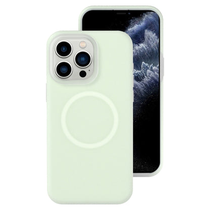 جراب هاتف مغناطيسي من السيليكون السائل الهلامي، لهاتف iPhone 12 Pro Max، لهاتف iPhone 12 Pro، لهاتف iPhone 11 Pro Max، لهاتف iPhone 11