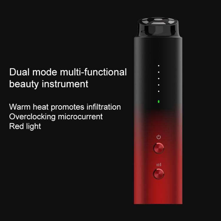 L3007 Frequency Conversion Microcurrent Photon Skin Rejuvenation RF Beauty Instrument, L3007