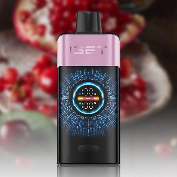 IGET One 12000 Puffs E-Cigarette