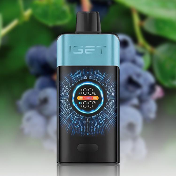 IGET One 12000 Puffs E-Cigarette
