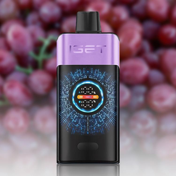 IGET One 12000 Puffs E-Cigarette
