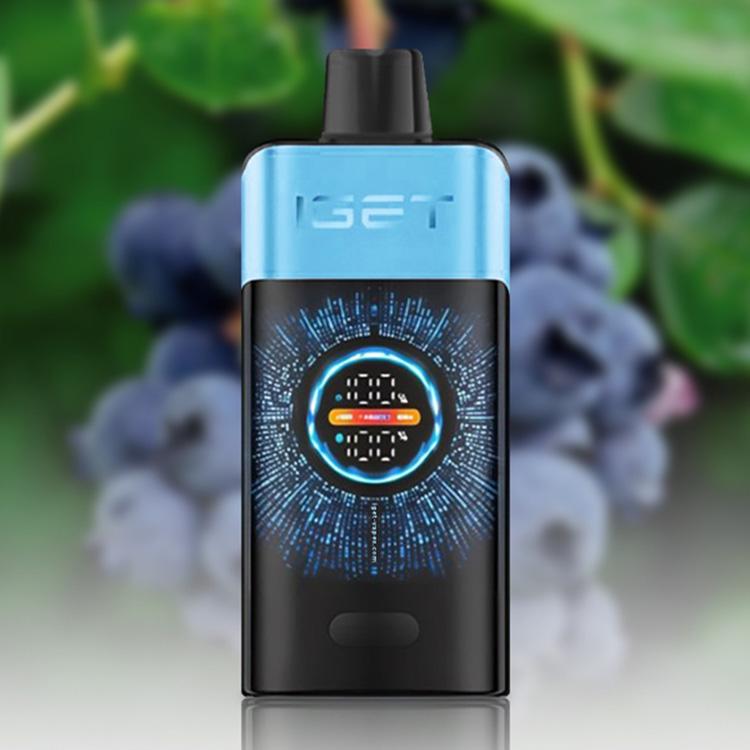 IGET One 12000 Puffs E-Cigarette