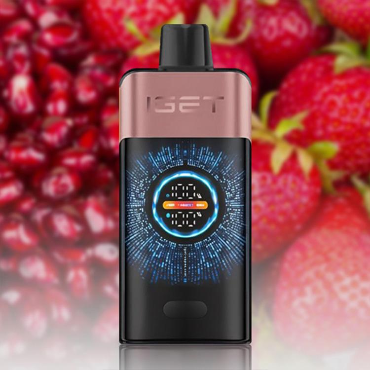 IGET One 12000 Puffs E-Cigarette
