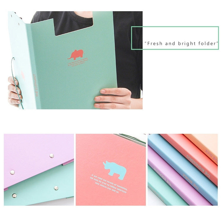 Creative Stationery Lovely Animal A4 Folder Test Paper Plate Holder School  Office Supplies, Random Color Delivery, Lovely Animal
