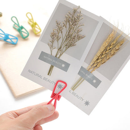 10 PCS Multipurpose Home Decor Clothe Photo Hanging Peg Clamps, Random Color Delivery, Hanging Peg Clamps