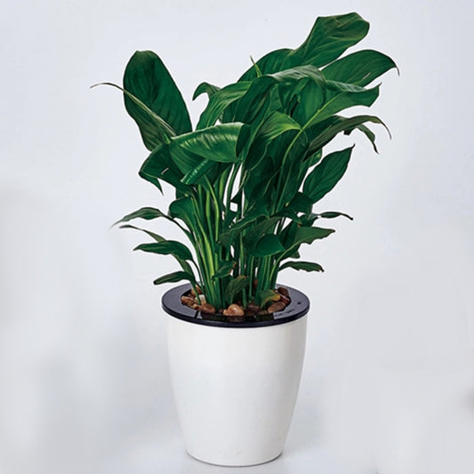 Lazy Flower Pots Automatic Water-absorbing Hydroponic Potted Plants Circular Resin Plastic Flower Pots Double-layer Design Self Watering Planter, Diameter: 13cm, Height: 13.7cm, Diameter: 13cm, Height: 13.7cm