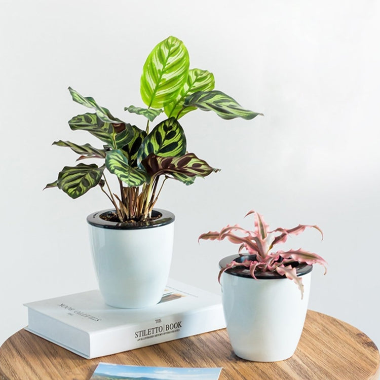 Lazy Flower Pots Automatic Water-absorbing Hydroponic Potted Plants Circular Resin Plastic Flower Pots Double-layer Design Self Watering Planter, Diameter: 13cm, Height: 13.7cm, Diameter: 13cm, Height: 13.7cm