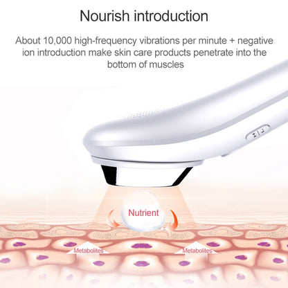 BLK-D020 Ion Import and Export Instrument Facial Beauty Massage Instrument Heating Vibration Ffacial Skin Care Instrument