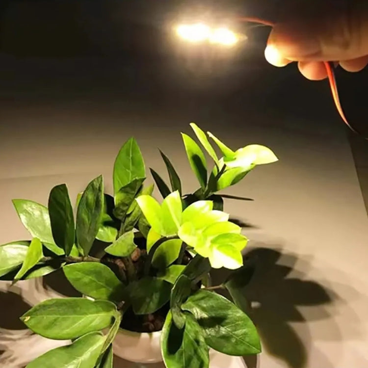 مصدر إضاءة السقف لوحدة مصباح LED SMD 5730 بقوة 3 وات و6 مصابيح LED، ضوء أبيض دافئ بتيار مستمر 9 فولت، ضوء أبيض دافئ بتيار مستمر 9 فولت