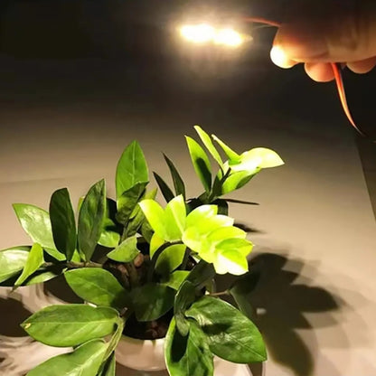 مصدر إضاءة السقف لوحدة مصباح LED SMD 5730 بقوة 3 وات و6 مصابيح LED، ضوء أبيض دافئ بتيار مستمر 9 فولت، ضوء أبيض دافئ بتيار مستمر 9 فولت