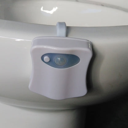 8 Colors Indoor Lighting Night Lights Motion Sensor LED Toilet Seat Cover Lightbowl Light Lamp, LED1660, LED1660US