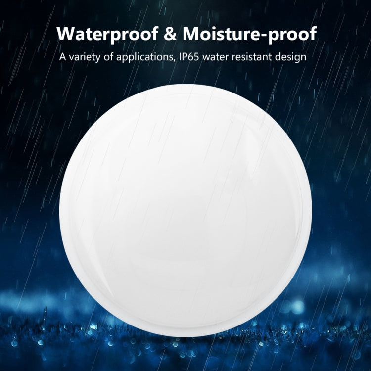Oval 20W 85-265V 2400LM LED Moisture-proof Lamp LED Wall Light, Oval 20W