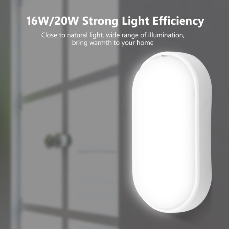 Oval 20W 85-265V 2400LM LED Moisture-proof Lamp LED Wall Light, Oval 20W