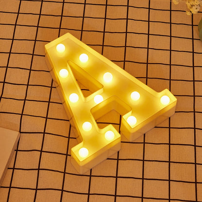 Dry Battery Powered Warm White Standing Hanging LED Holiday Light
