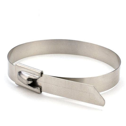 100 PCS 4.6x300mm Stainless Steel Metal Cable Ties Tie Zip Wrap Exhaust Heat Straps Induction Pipe, 4.6x300mm