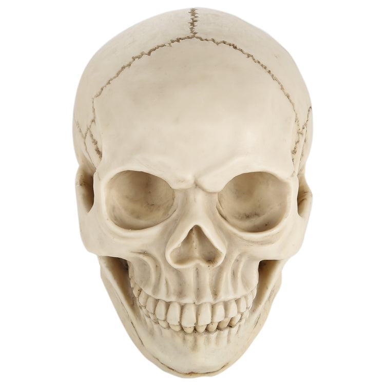 Skull Head Hallowmas Prop Gadget Display, Size: 19(L) x 13(W) x 14cm(H), Skull Head