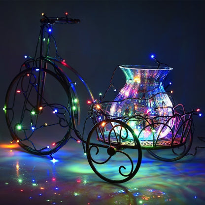 100 LED RGB Light with Controller, Flashing / Fading / Chasing Effect, 220V Colorful Light EU Plug, Warm White EU Plug, White Light EU Plug