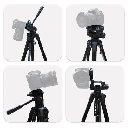 حامل ثلاثي القوائم L-3600 Live مزود بحامل ثلاثي الأبعاد مع لوحة تحرير سريعة قابلة للفصل وتعديل الارتفاع من 62 إلى 170 سم لكاميرا SLR وجهاز عرض Live Light (أسود)، L-3600