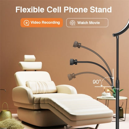 HD-G63X Floor Standing Remote Dimming LED Moon Lamp Manicure Eyelash Beauty Lamp