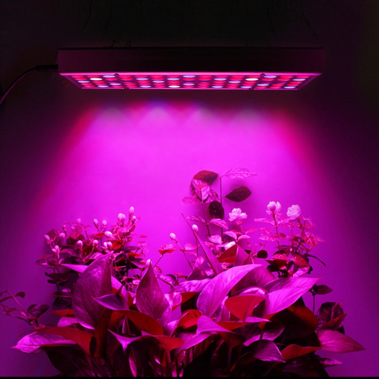 مصابيح إنبات النباتات 45 واط 144 مصباح LED طيف كامل Fitolampy لزراعة النباتات والزهور والشتلات مصابيح إنبات LED تيار متردد 85-265 فولت، الولايات المتحدة الأمريكية، الاتحاد الأوروبي، أستراليا، المملكة المتحدة