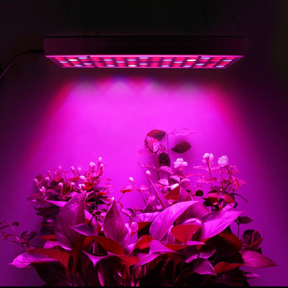 مصابيح إنبات النباتات 45 واط 144 مصباح LED طيف كامل Fitolampy لزراعة النباتات والزهور والشتلات مصابيح إنبات LED تيار متردد 85-265 فولت، الولايات المتحدة الأمريكية، الاتحاد الأوروبي، أستراليا، المملكة المتحدة