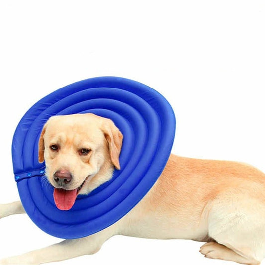 DogLemi Pet Dog Cat Anti-bite Anti-licking Beauty Cover Collar, XS, S, M, L, XL