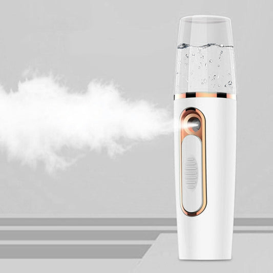 Portable Mini Moisturizing Sprayer Rechargeable Beauty Disinfectant Humidifier Automatic Alcohol Sprayer, Moisturizing Sprayer