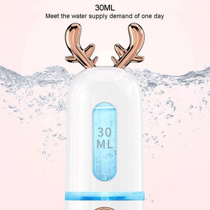 Facial Steamer Nano Spray Water Replenishing Instrument Portable Cold Spray Machine Charging Beauty Instrument Alcohol Disinfection, Cute Rabbit, Cute Deer, Crown